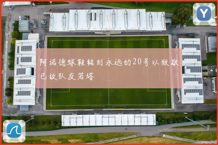 阿诺德球鞋铭刻永远的20号以致敬已故队友若塔