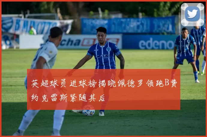英超球员进球榜揭晓佩德罗领跑B费约克雷斯紧随其后